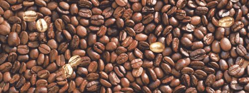 Декор Liberi 150*400*9 кофе DWU06LIB434
<br>
